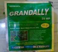 Grandally