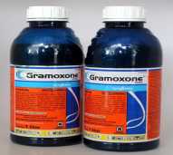 GRAMOXONE 276SL merupakan herbisida (obat pembasmi rumput) kontak yang membasmi gulma dengan cepat dan langsung kering