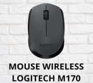 Mouse Wireless Logitech M170