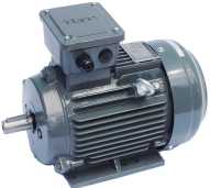 Motor TECO 50 HP 2 Pole