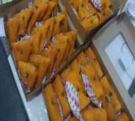 Risol dan Tahu Fantasi