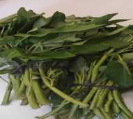 Sayur kangkung