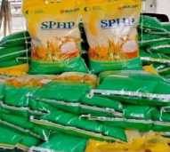 Beras Sphp 5 kg Murah & Enak