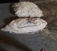 JARING GAWANG