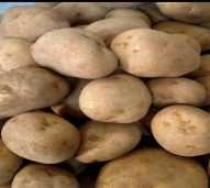 Kentang 1 Kg