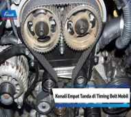 Timing belt