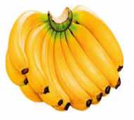 Pisang